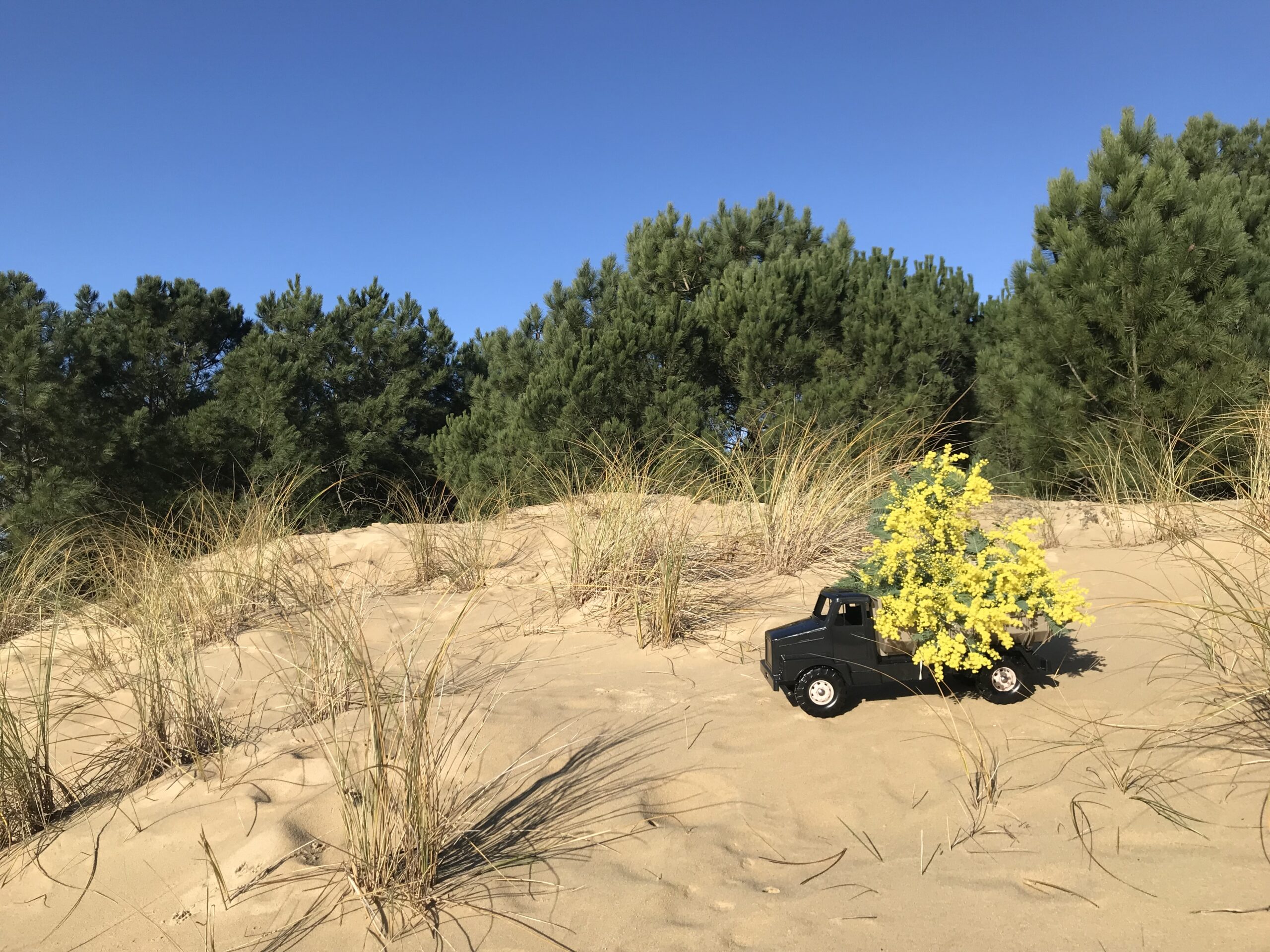 Camion sur la dune