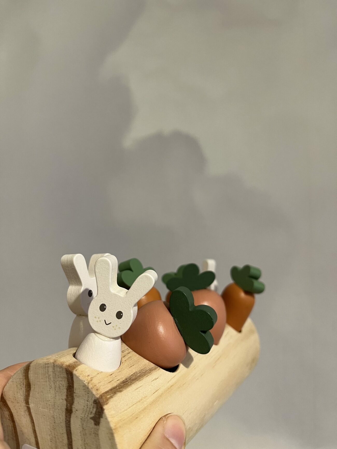 Bûche de lapins et légumes à encastrement – Image 2