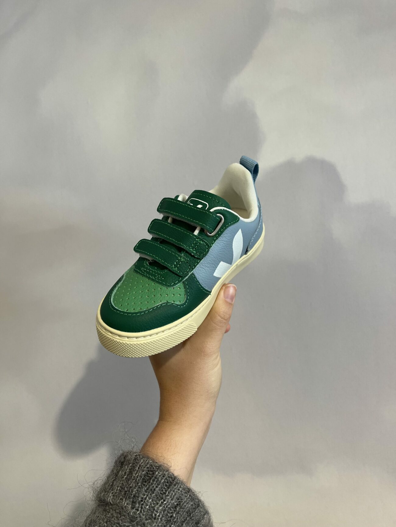 Basket Veja small V10