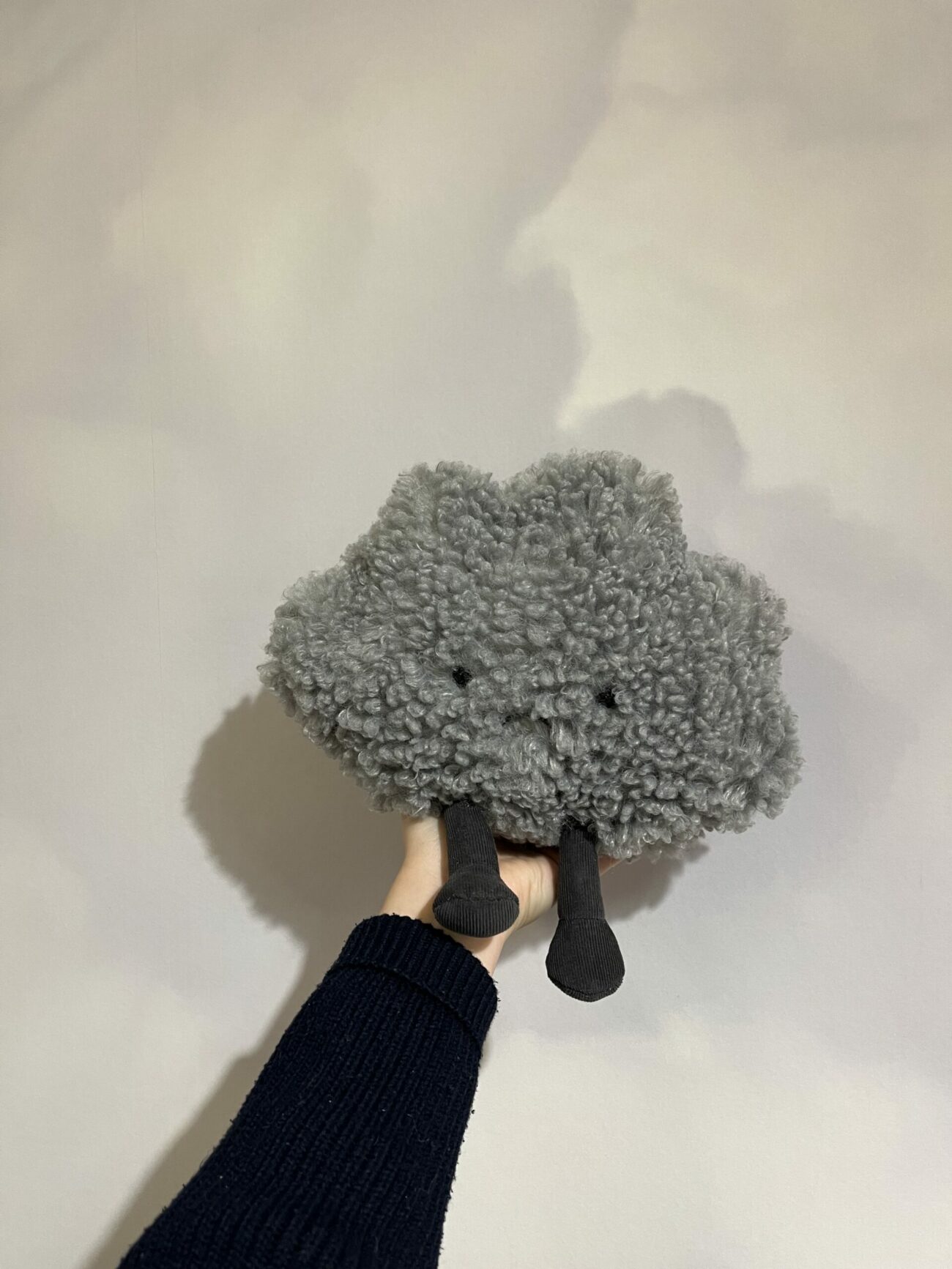 Amuseable Storm Cloud