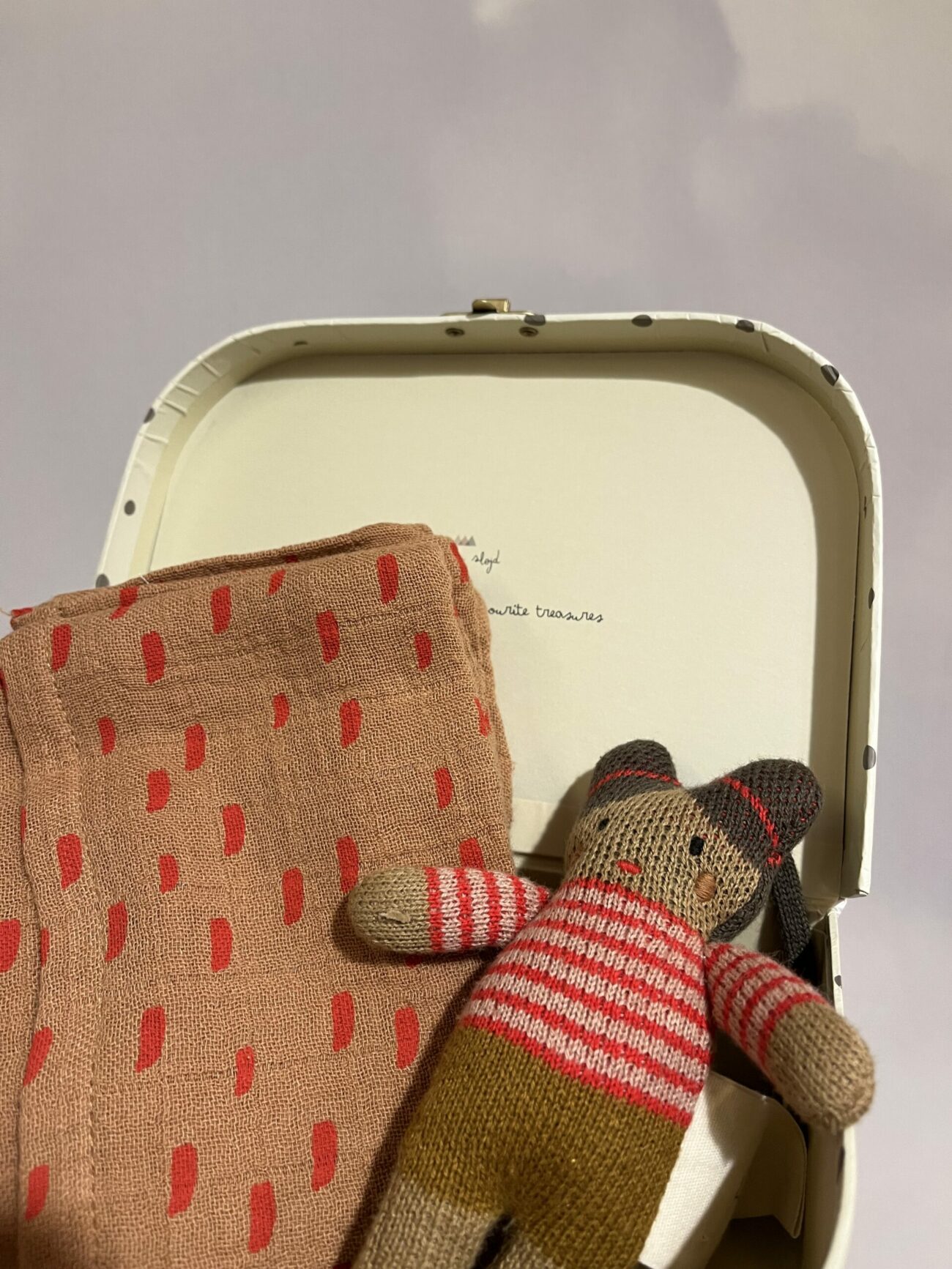 Valise cadeau de naissance #3 – Image 2