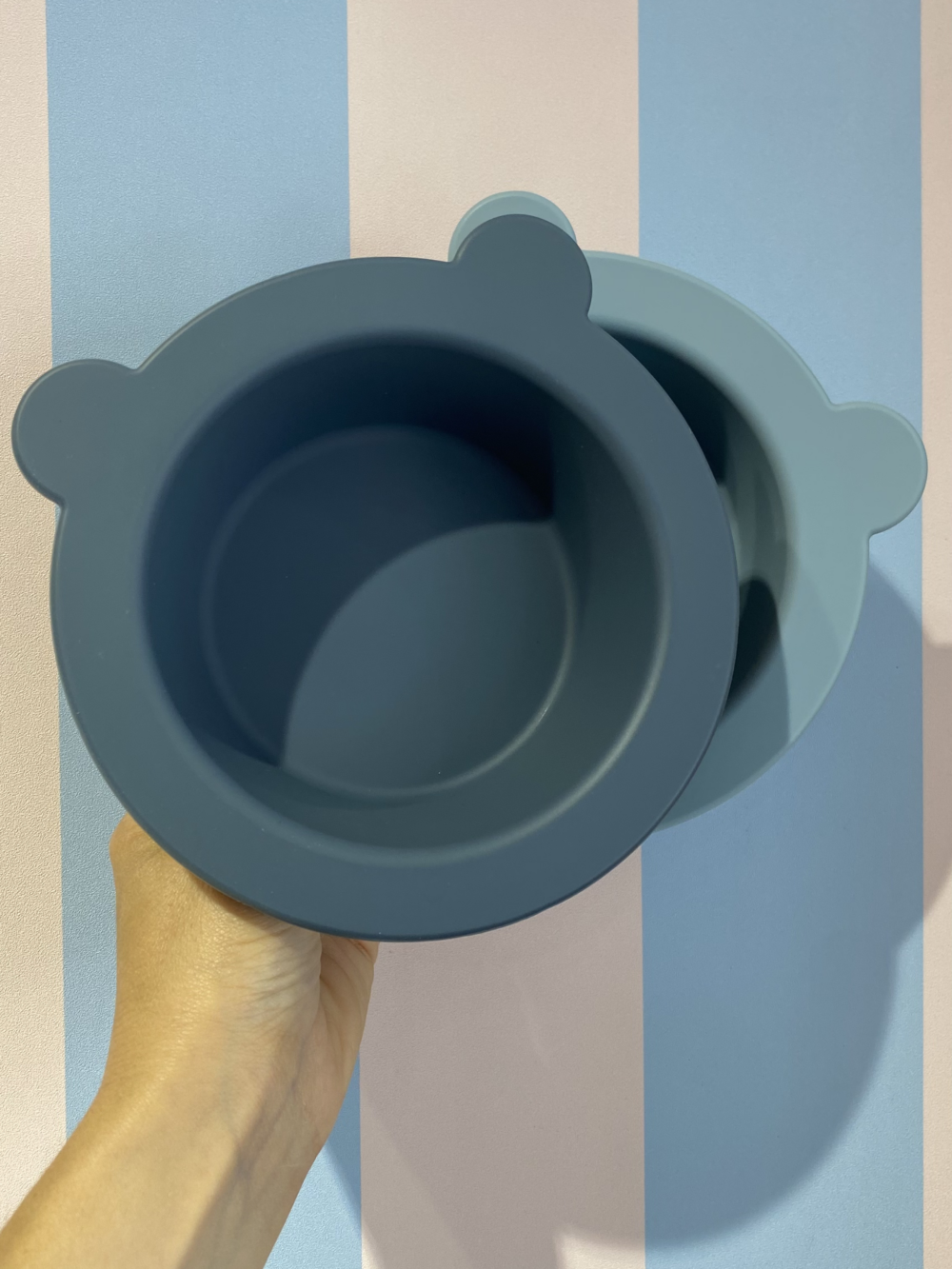 Bol à ventouse silicone