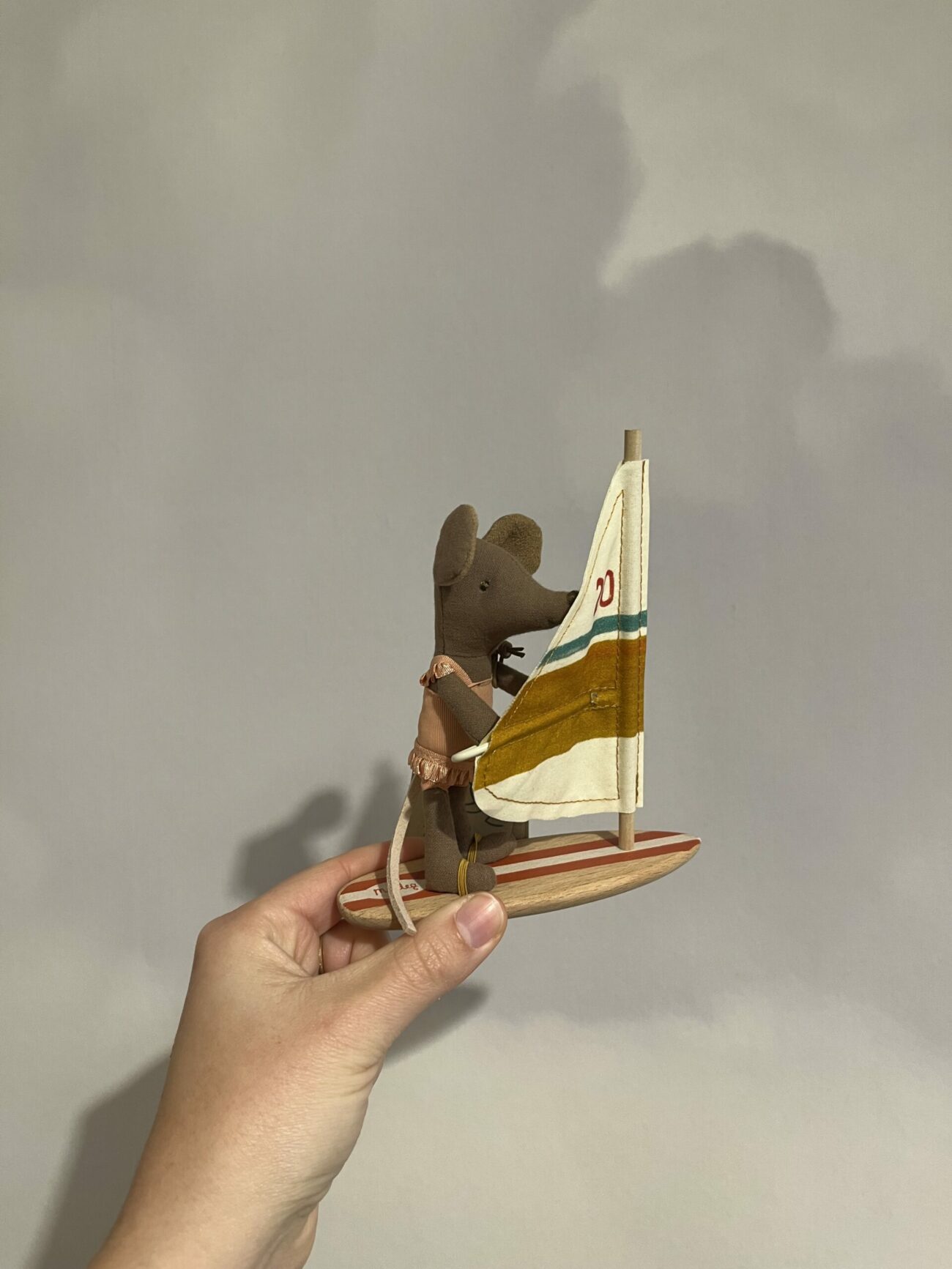 Souris surfer – Image 3