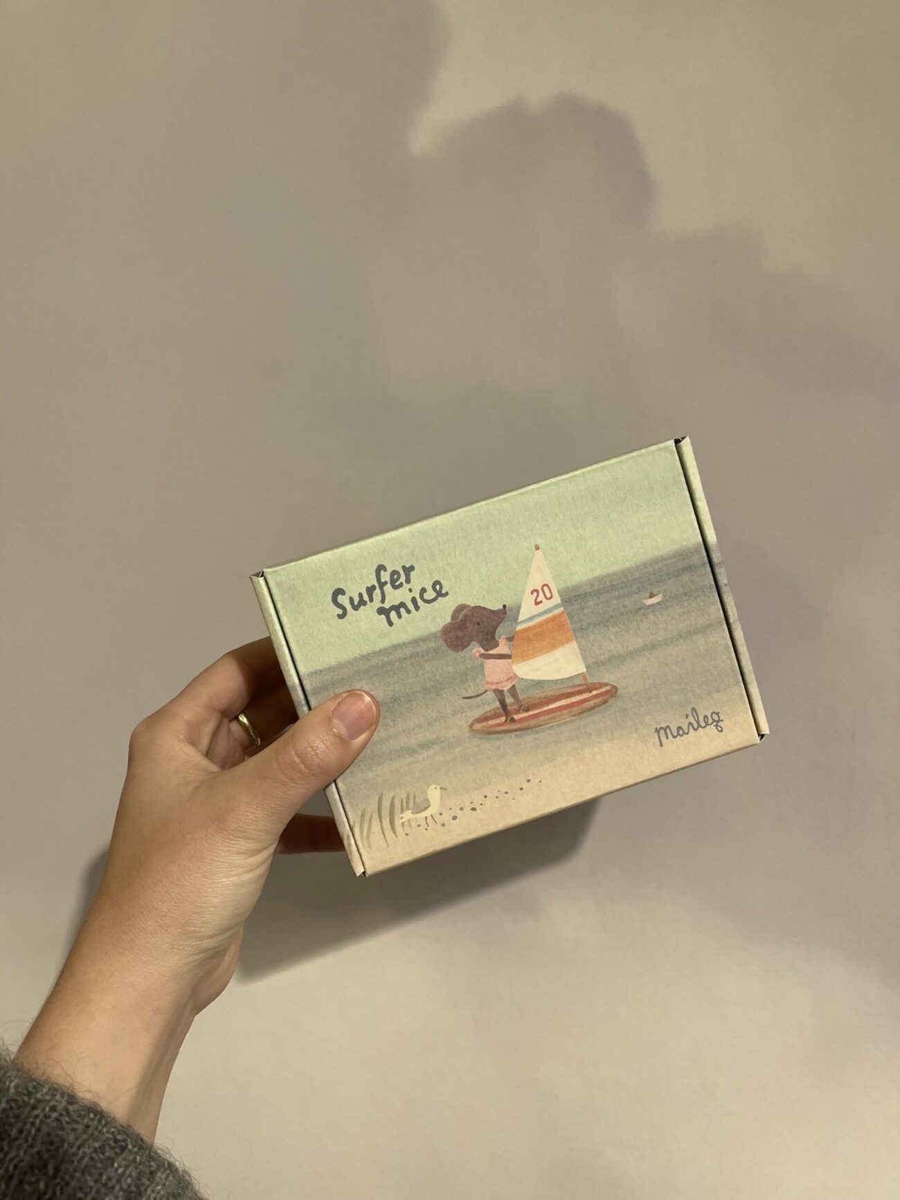 Souris surfer – Image 4