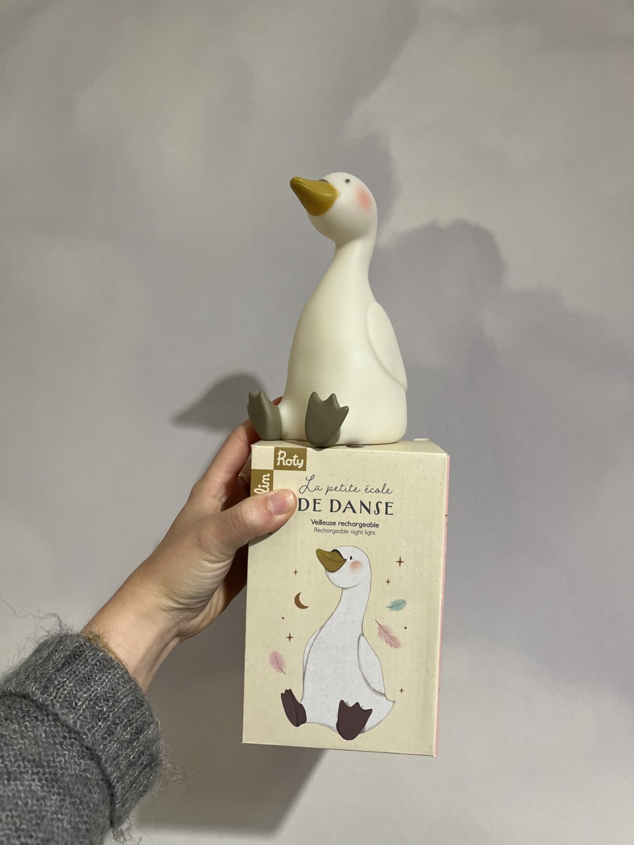 Veilleuse rechargeable oie