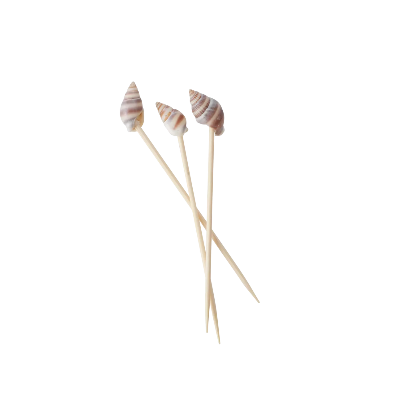 Pics apéro coquillages – Image 2