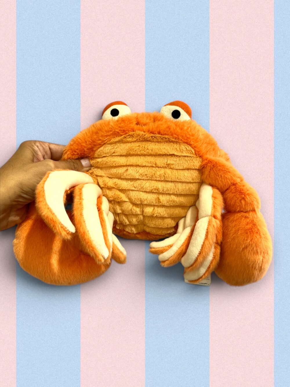 Peluche - Crabe