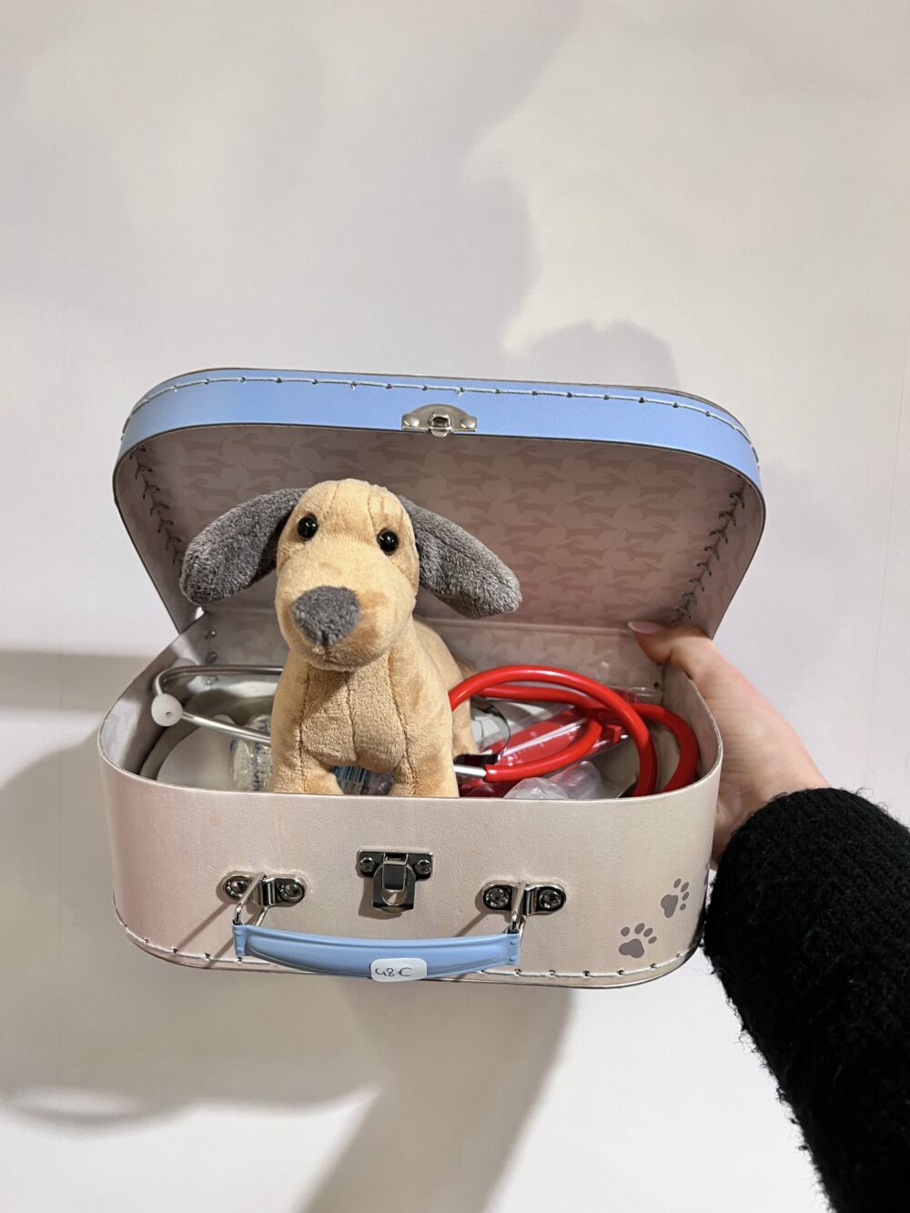 Valise vétérinaire