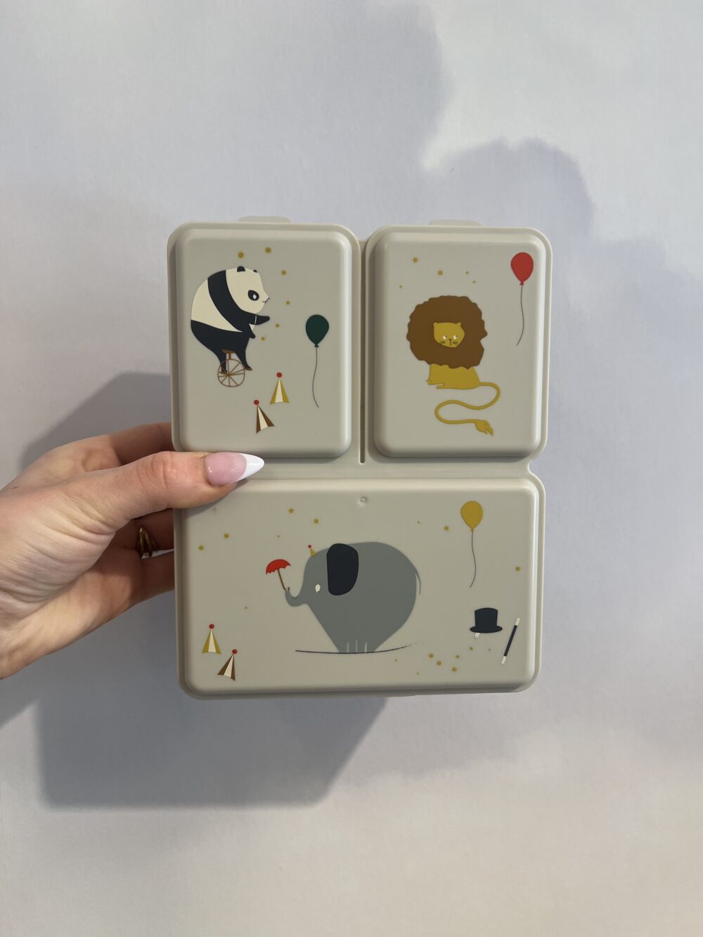 Lunchbox à compartiments Driss