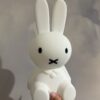 Veilleuse Snoopy et Miffy – Image 2