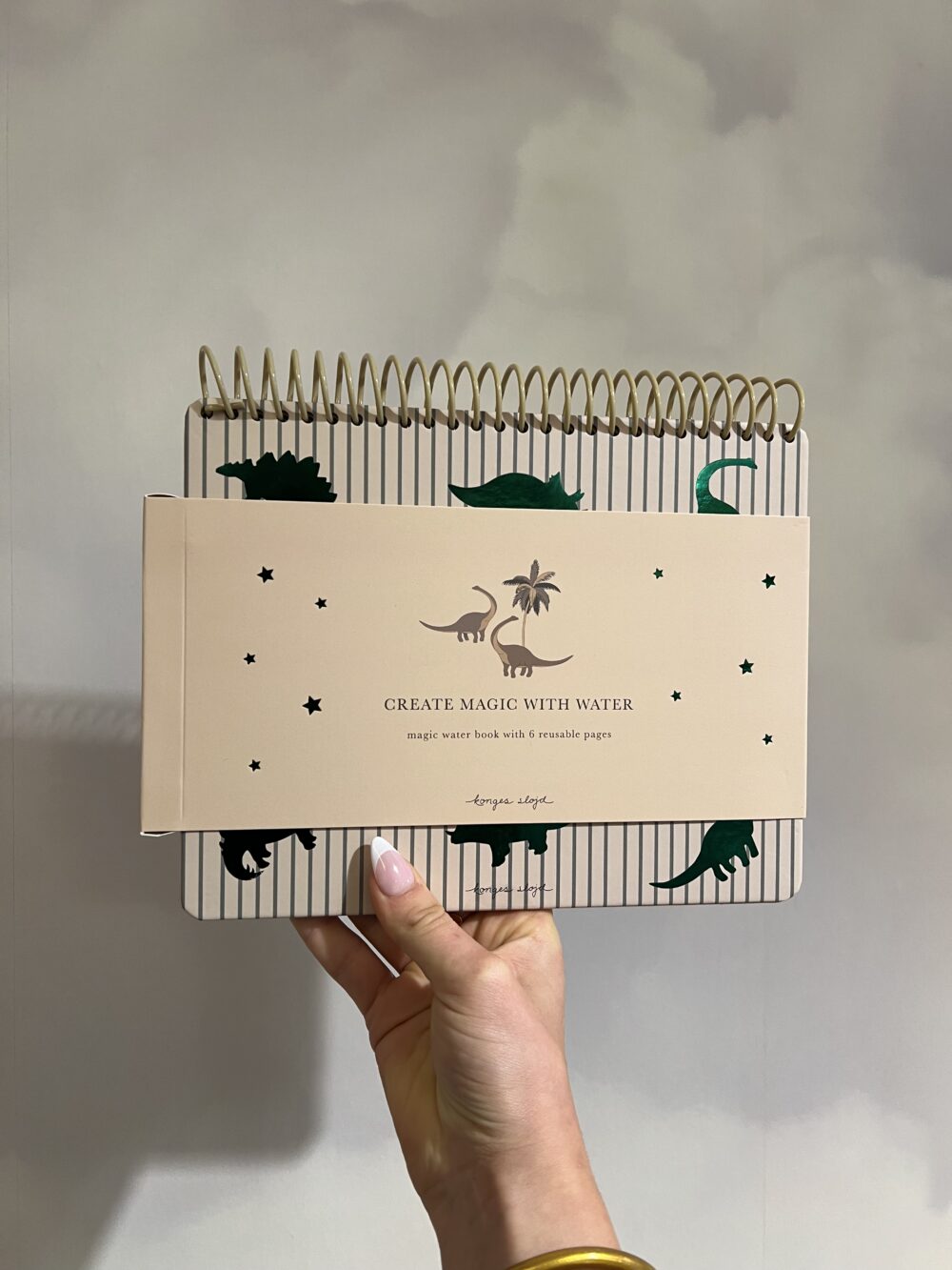 Livre magique à l'eau dino