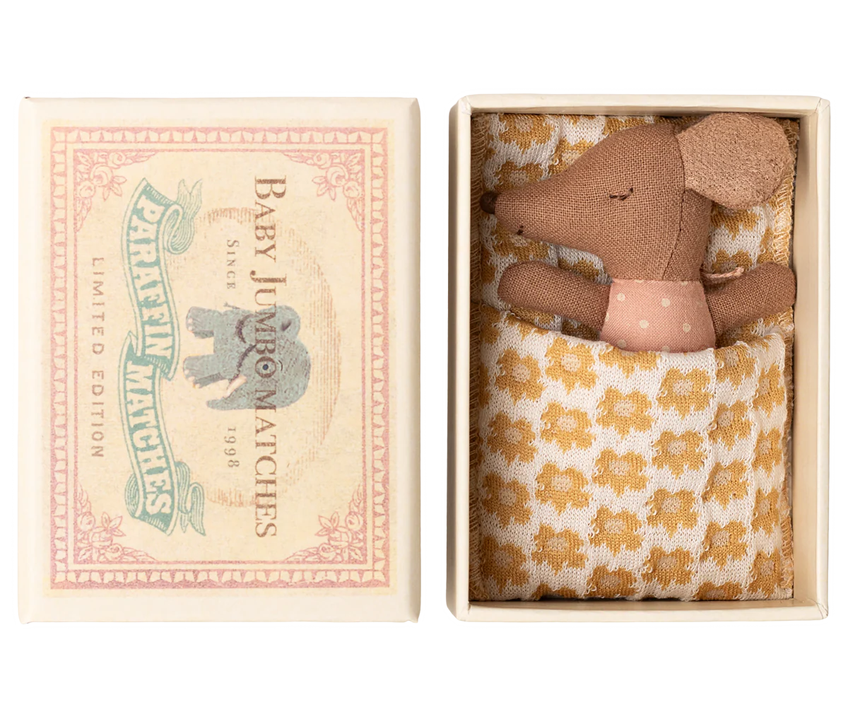 Bébé souris dans sa boîte – Image 5