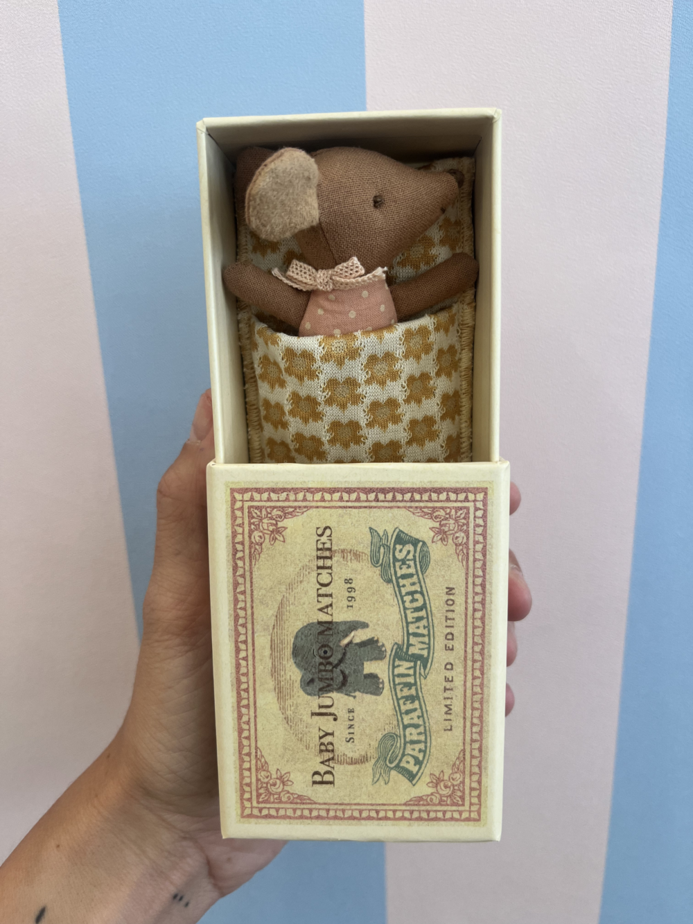 Bébé souris dans sa boîte