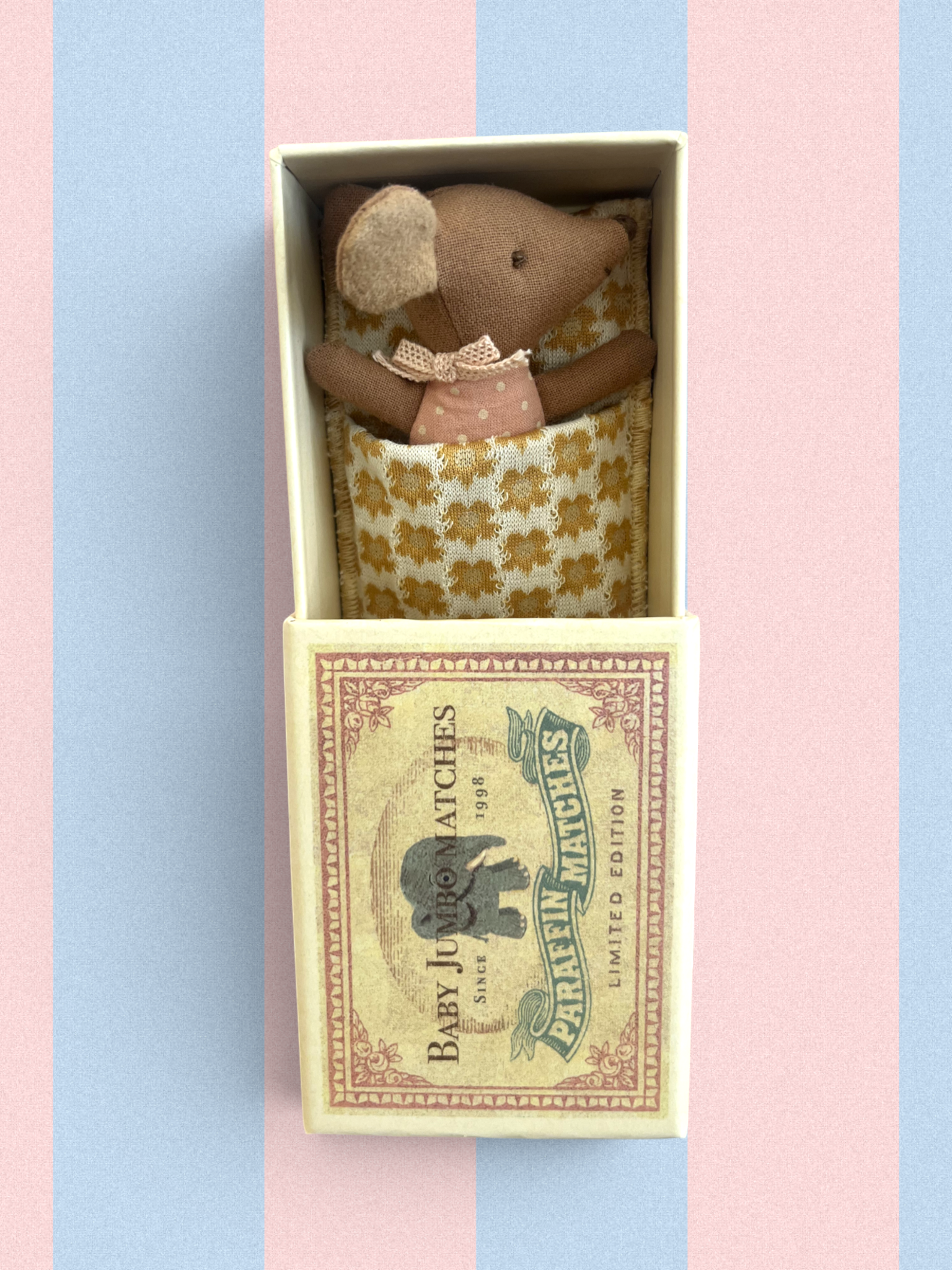 Bébé souris dans sa boîte