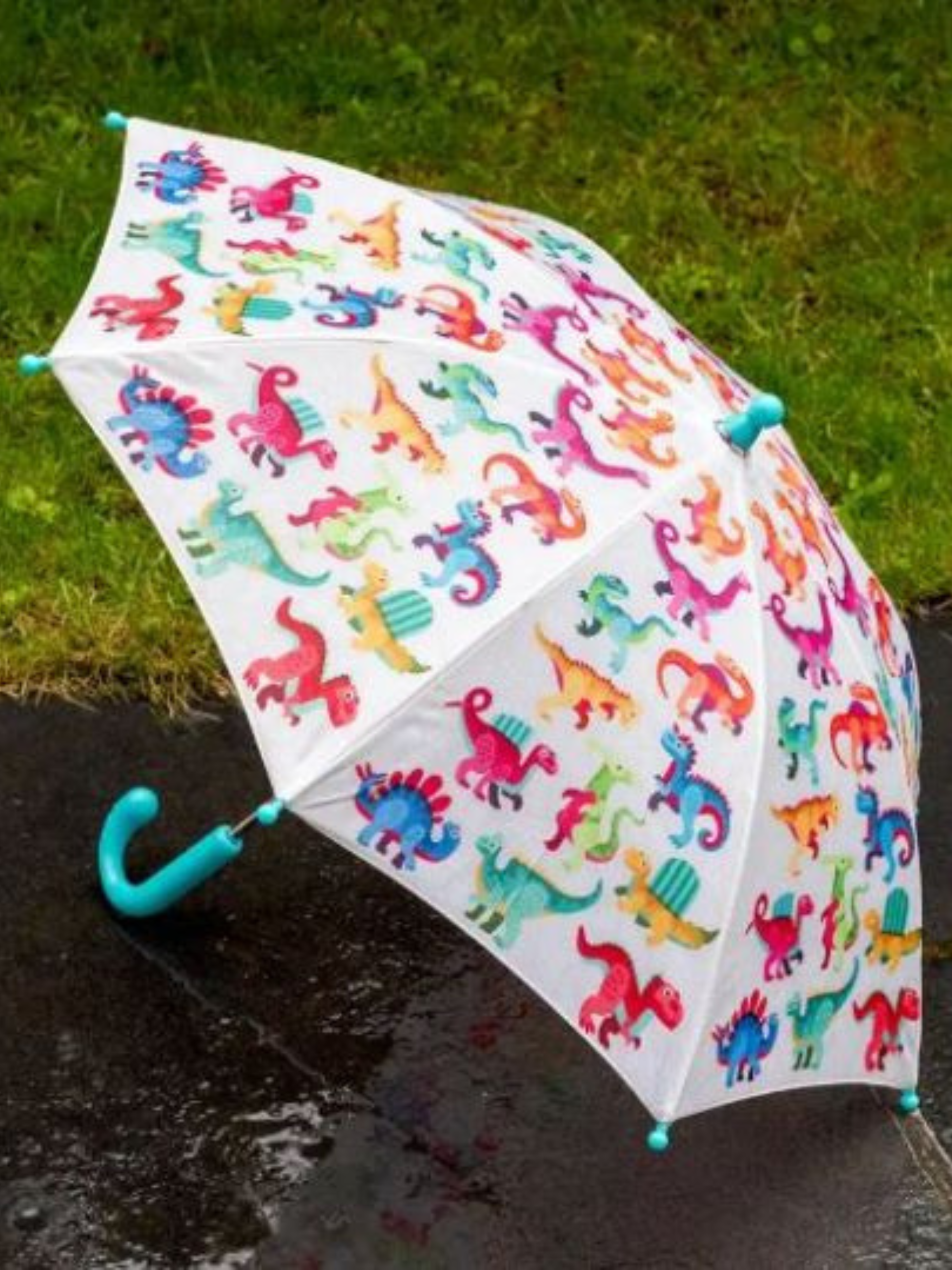 Parapluie Dinos – Image 3