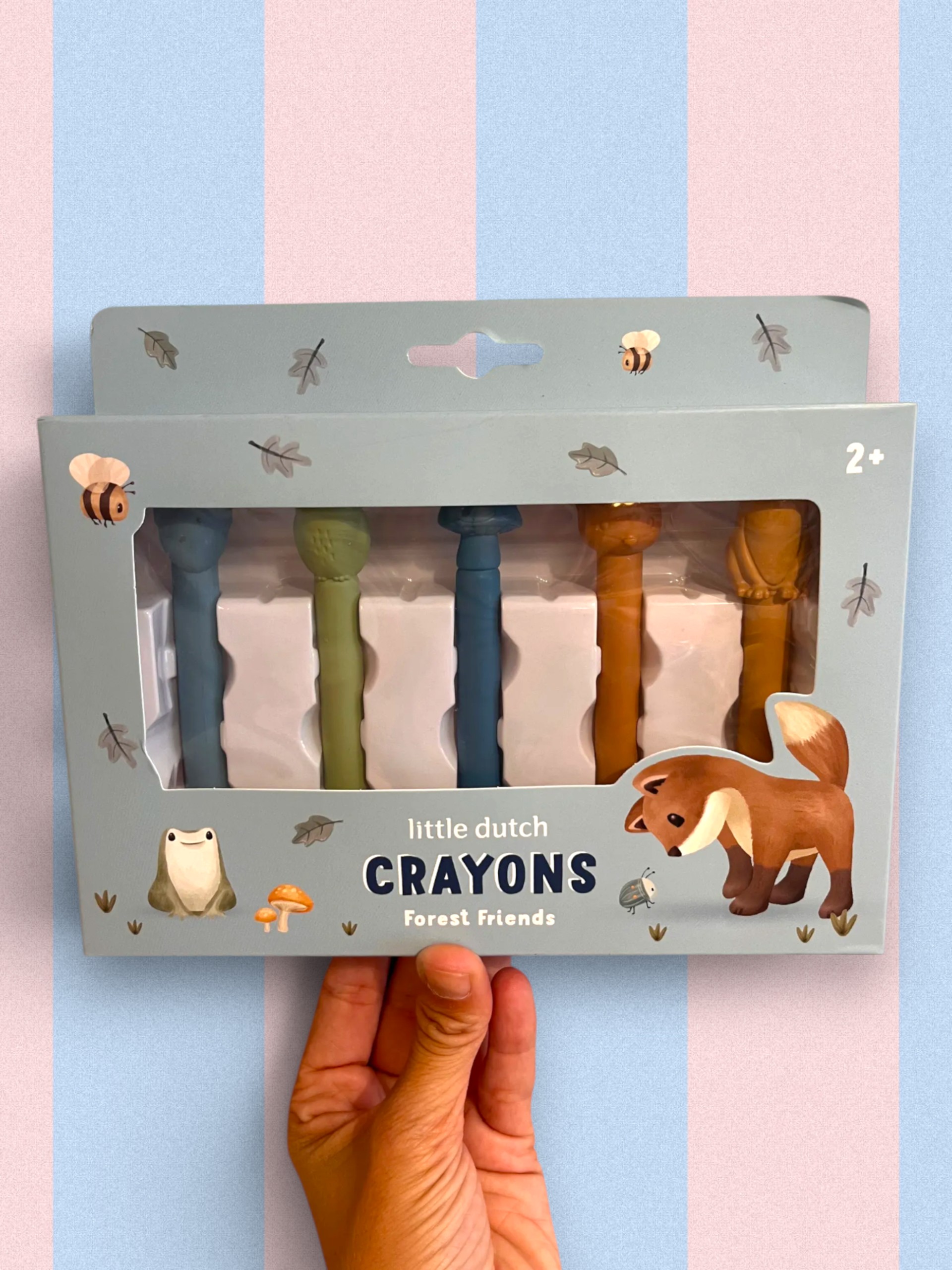 Crayon de cire - Forest Friends